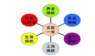 保险行业 五行|保险行业五行